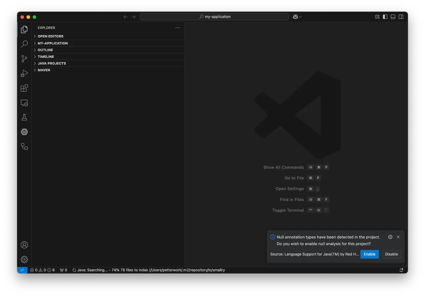 Visual Studio Code null annotations confirmation